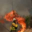 «Πύρινη κόλαση» σε Γαλλία και Ισπανία: Εικόνες καταστροφής σε Μπορντό και Μαδρίτη – Πάνω από 950.000 στρέμματα έχουν καεί