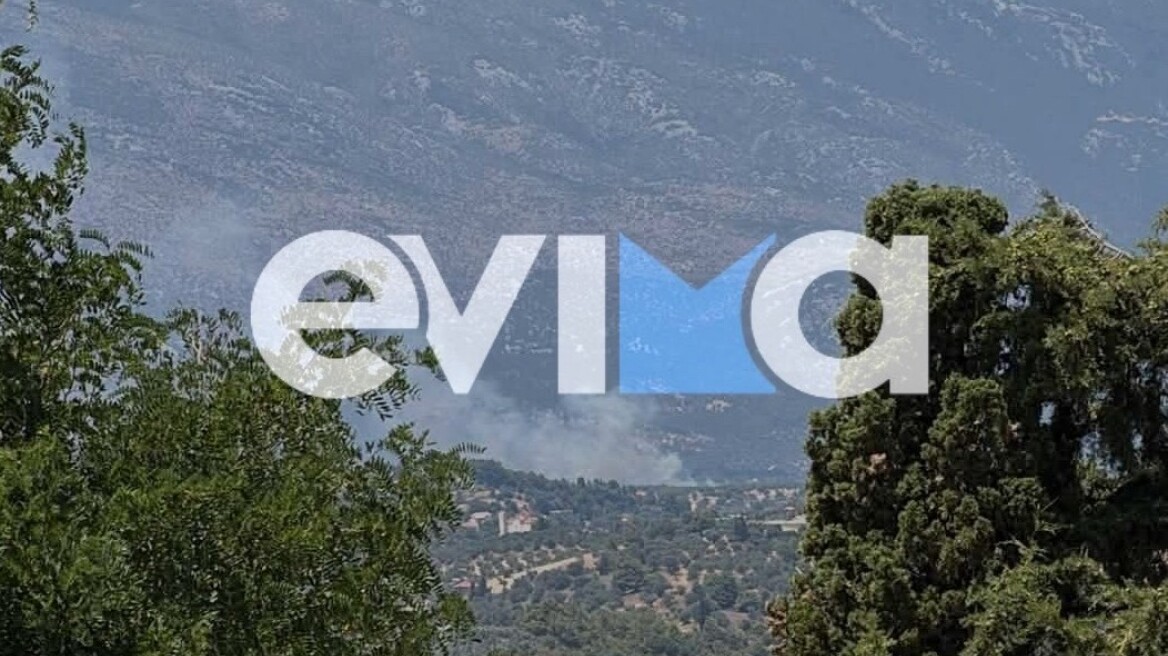Μεγάλη πυρκαγιά στην Εύβοια: Μήνυμα του 112 για εκκένωση της Επισκοπής Μεγάλη πυρκαγιά στην Εύβοια: Μήνυμα του 112 για εκκένωση της Επισκοπής