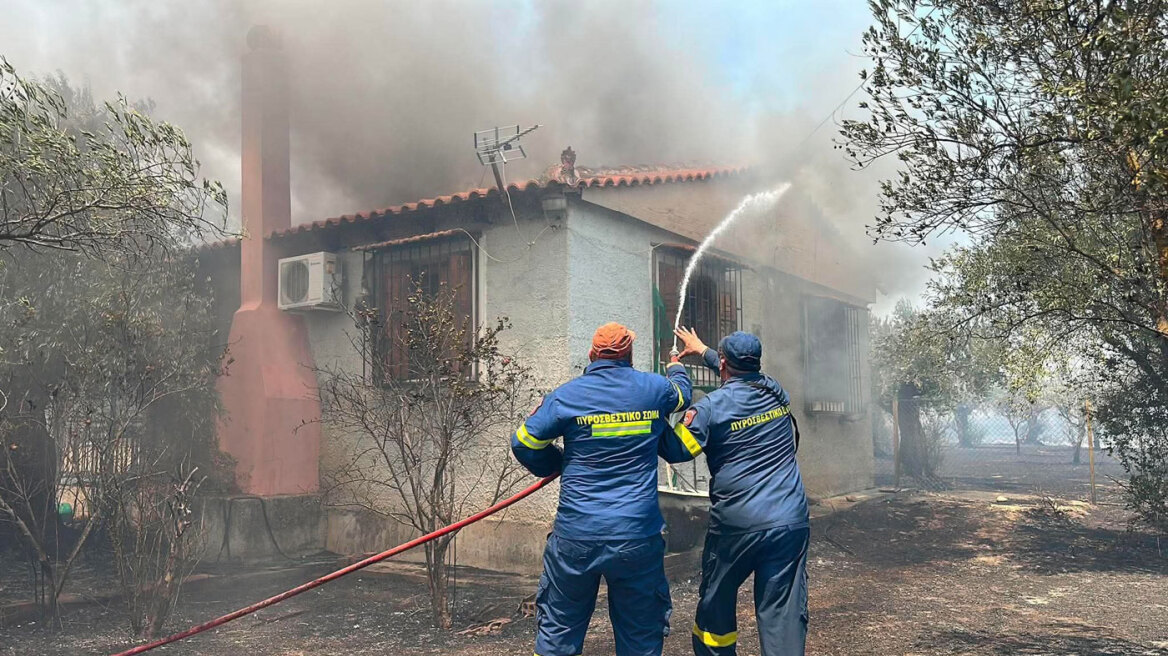 Πύρινος εφιάλτης σε Βοιωτία και Αργολίδα: Εκκενώνεται το Πόρτο Γερμενό – Σπίτια παραδόθηκαν στις φλόγες στο Φίχτι
