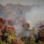 Φωτιά στην Οινόη: Χωρίς ενεργό μέτωπο – Συνεχίζεται η επιχείρηση κατάσβεσης