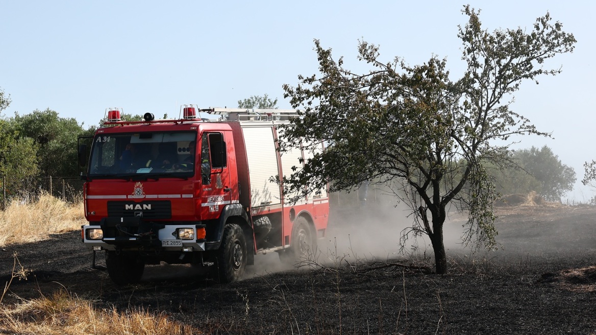 Συναγερμός για τον κίνδυνο πυρκαγιάς: Πολύ υψηλή επικινδυνότητα σε Αττική, Βοιωτία και Εύβοια