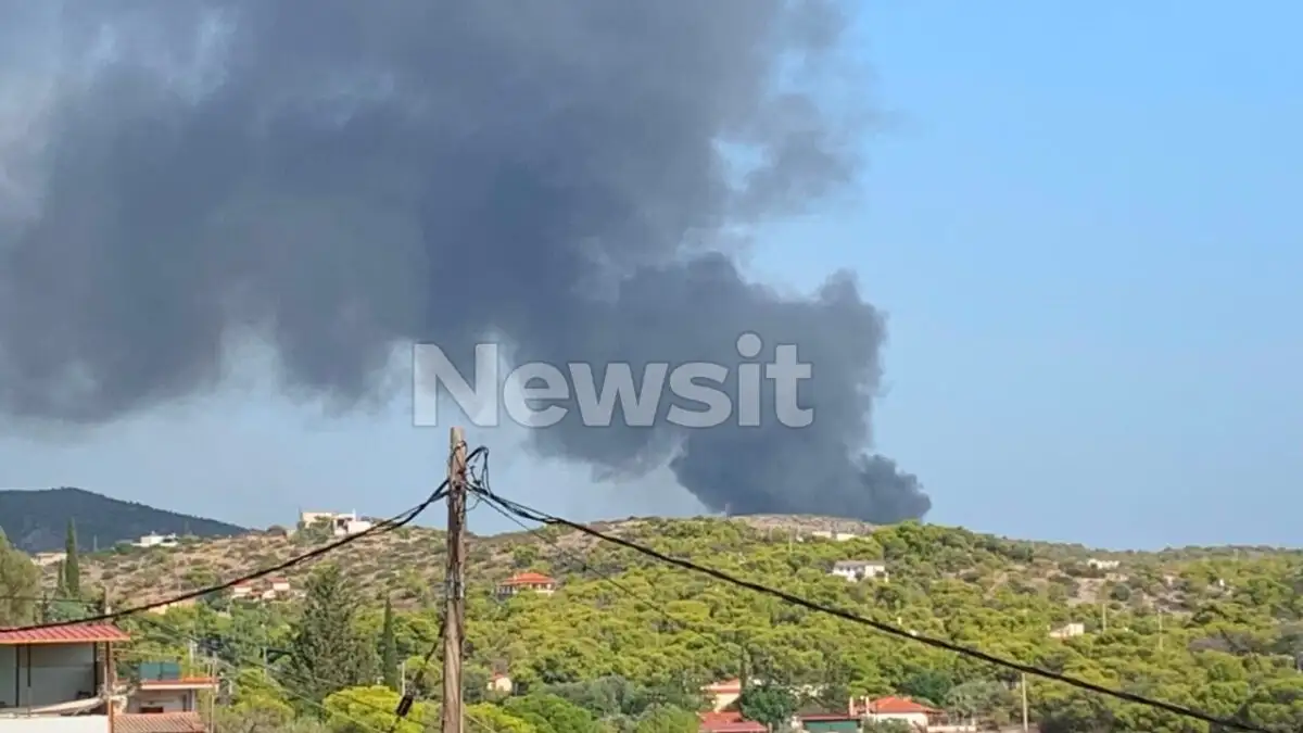 Πυρκαγιά στο Ελληνικό Σαλαμίνας: Φωτιά κοντά στον Ναύσταθμο – Ενεργοποιήθηκε το 112 Πυρκαγιά στο Ελληνικό Σαλαμίνας: Φωτιά κοντά στον Ναύσταθμο – Ενεργοποιήθηκε το 112