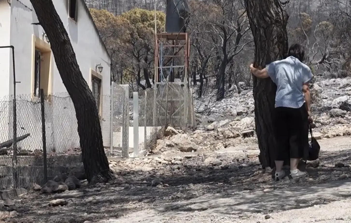 Πόρτο Γερμενό: Οδύνη και απογοήτευση στις πρώτες εικόνες από τις καμένες εκτάσεις Πόρτο Γερμενό: Οδύνη και απογοήτευση στις πρώτες εικόνες από τις καμένες εκτάσεις