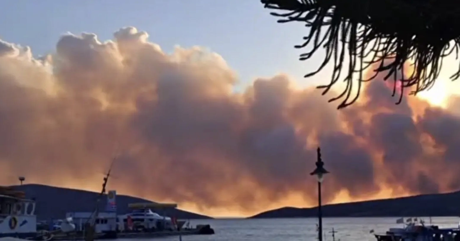 Φωτιά στη Σκύρο: Νέα μάχη με τις φλόγες – Ξανά στον αέρα 6 εναέρια μέσα Φωτιά στη Σκύρο: Νέα μάχη με τις φλόγες – Ξανά στον αέρα 6 εναέρια μέσα