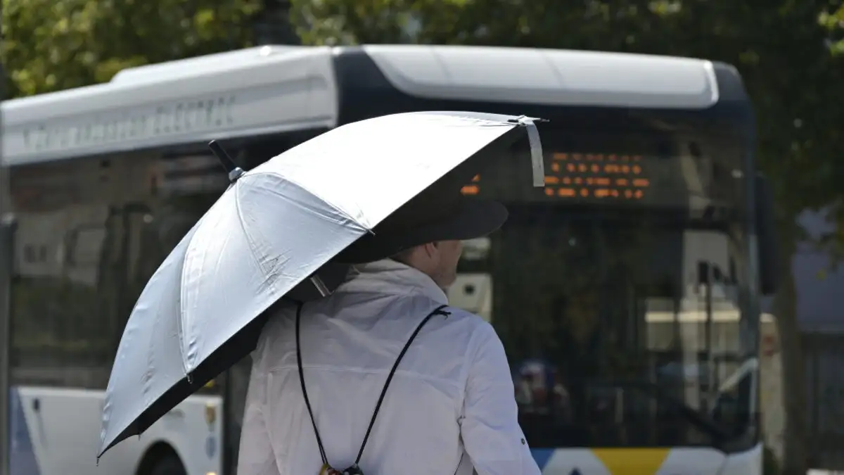 Καιρός Σαββάτου: Καλοκαιρινό σκηνικό με ζέστη και ισχυρούς βοριάδες – Έως 36°C ο υδράργυρος