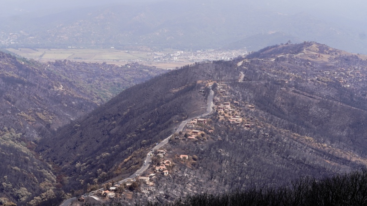 Αλγερία: Επεκτείνεται η θανατική ποινή στους εμπρηστές δασών – Τι προβλέπει η νέα νομοθεσία Αλγερία: Επεκτείνεται η θανατική ποινή στους εμπρηστές δασών – Τι προβλέπει η νέα νομοθεσία