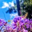 Καιρός σήμερα: Ηλιοφάνεια και τοπικές βροχές – Στους 19 βαθμούς η θερμοκρασία και έως 6 μποφόρ στο Αιγαίο
